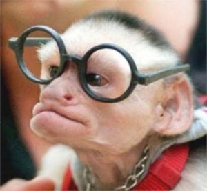 baby monkey glasses face funny