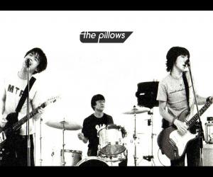 the pillows