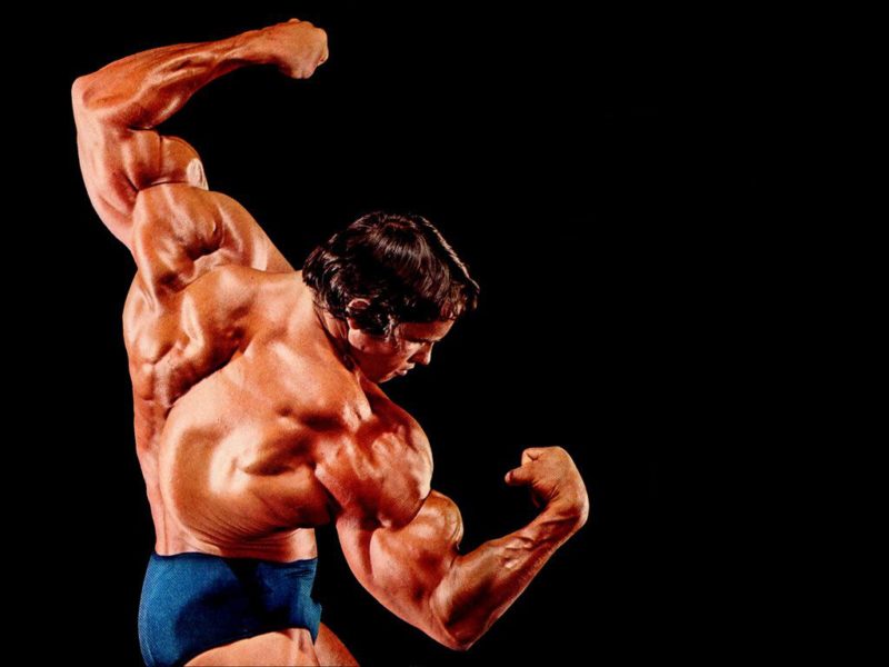 Arnold Schwarzenegger muscles