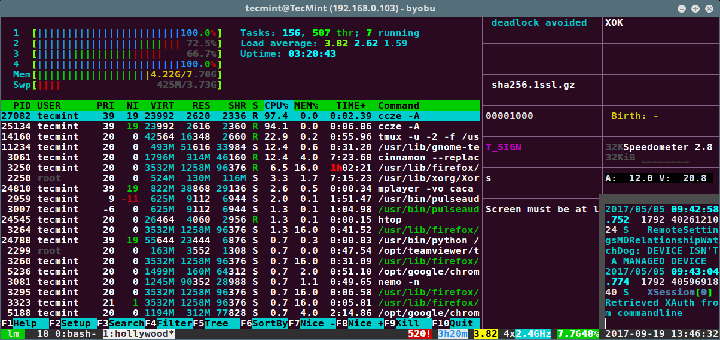 example of a Linux terminal