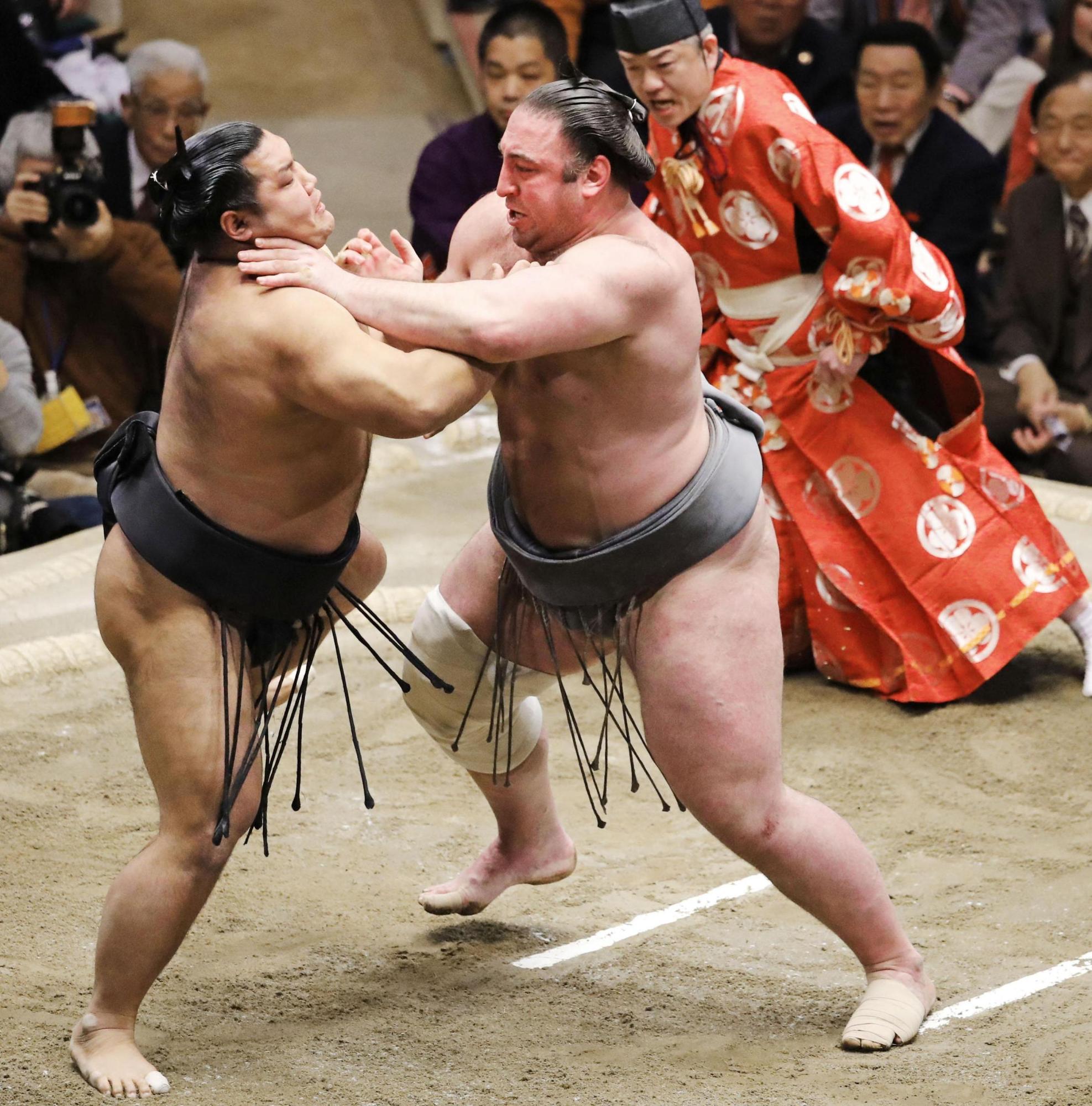 Sumo sesrch